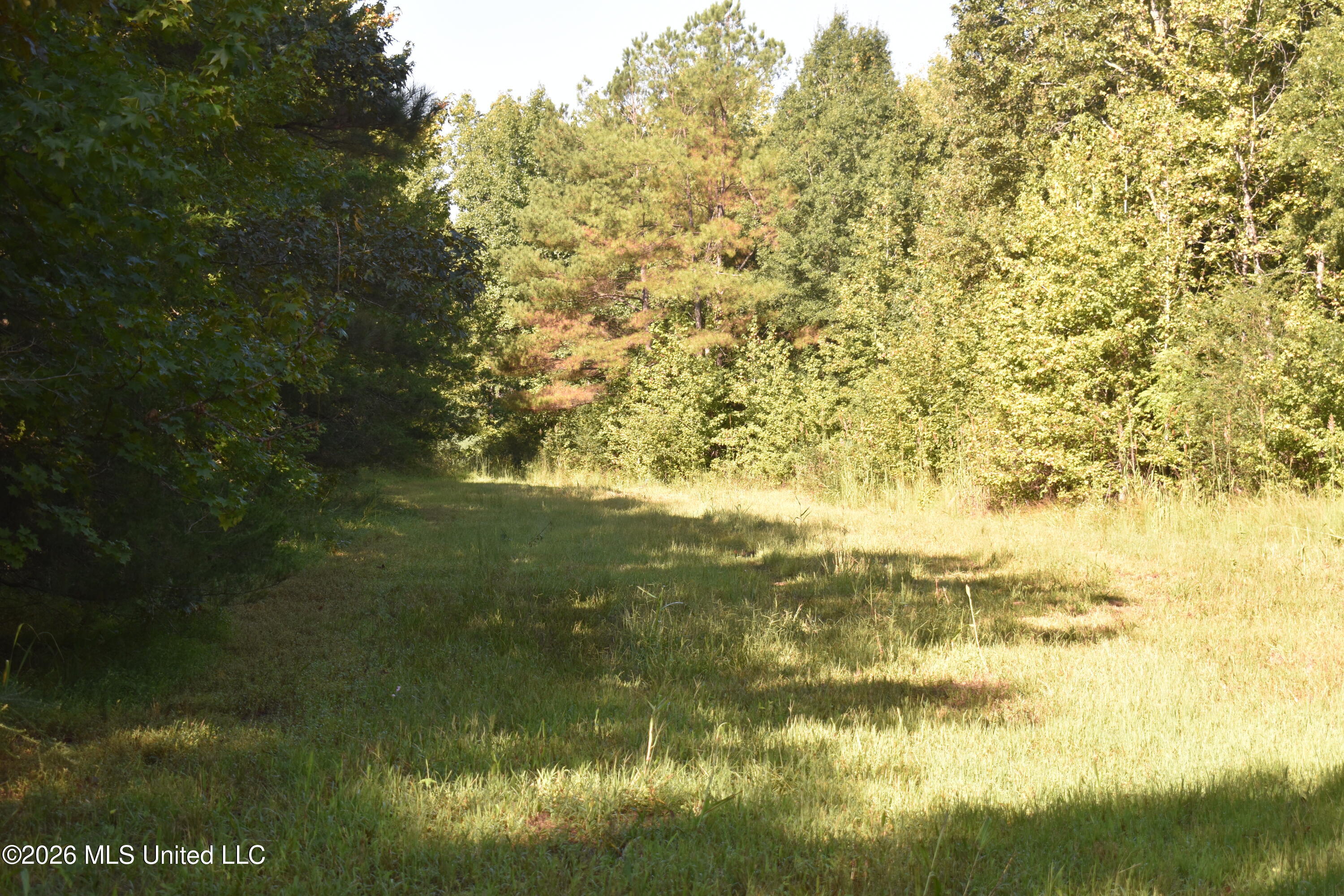 390 Old Panola Road Como, MS 38619 - Photo 60 of 71 DSC_0174