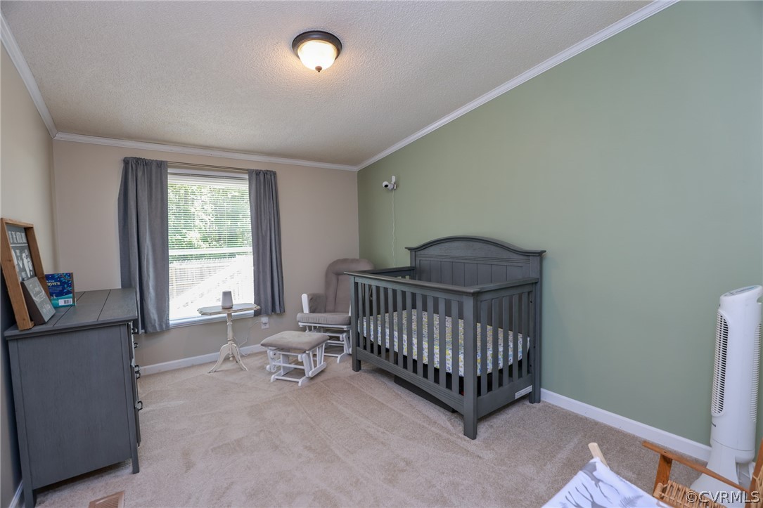 2755 Davis Mill Road Goochland, VA 23063 - Photo 23 of 38