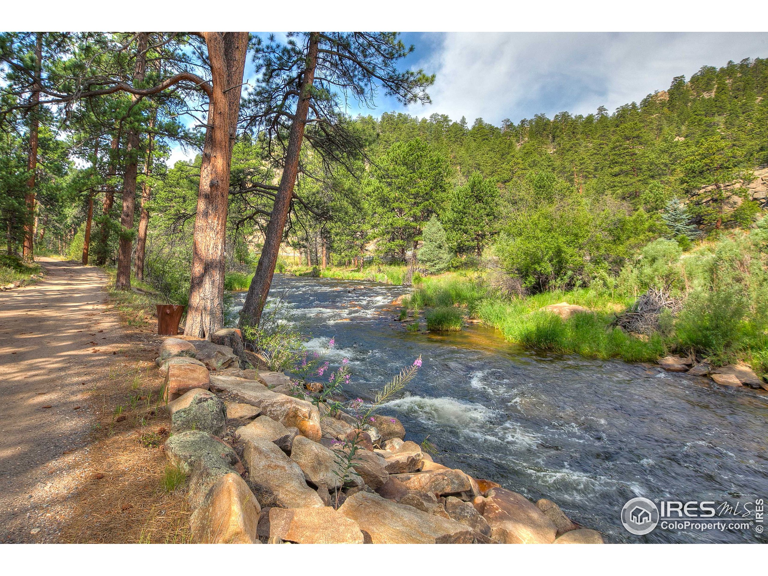 42 Evergreen Point Road Drake, CO 80515 - Photo 19 of 36