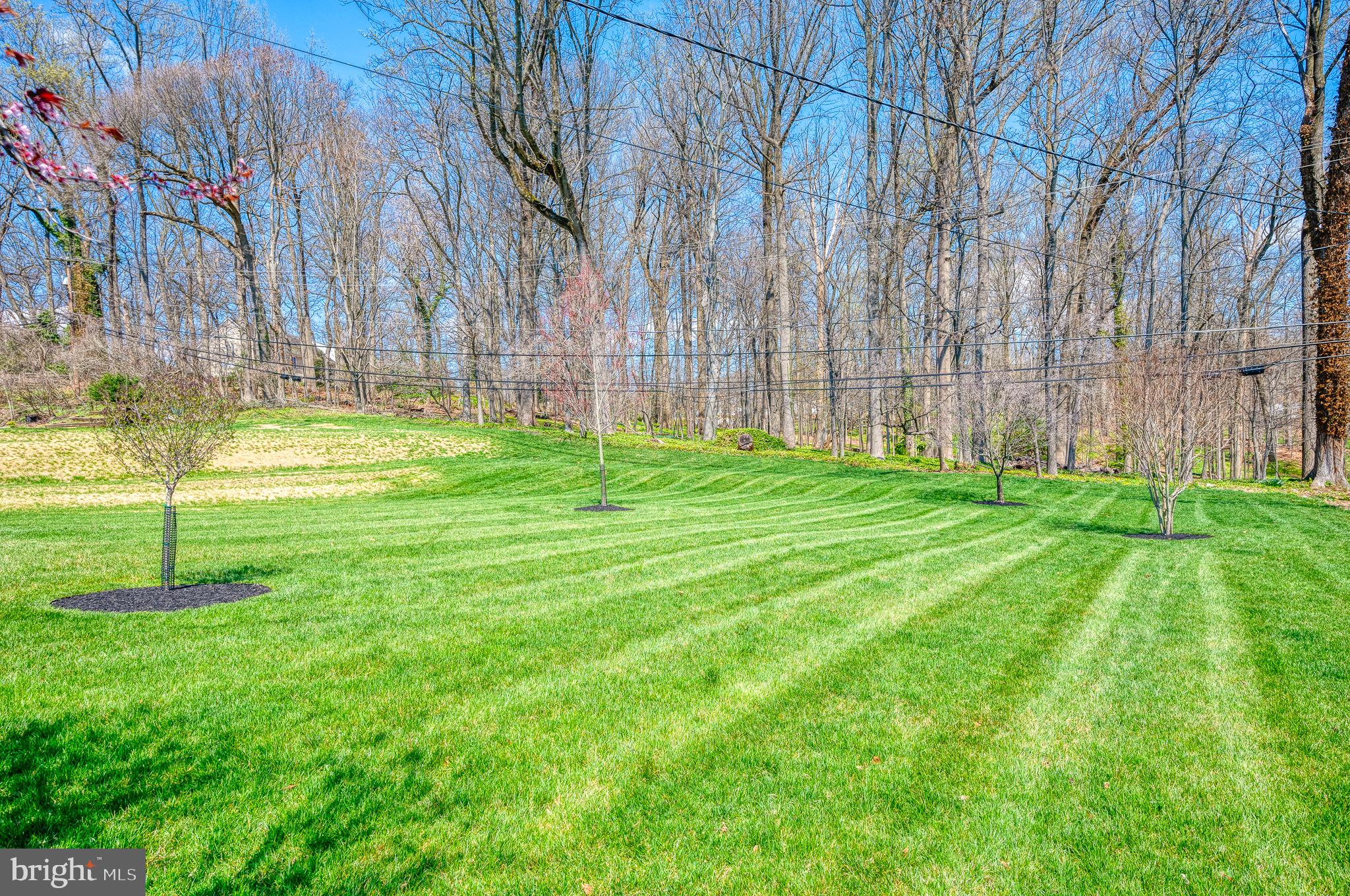 1012 Green Acre Road Towson, MD 21286 - Photo 43 of 69 Private Rear Yard & View