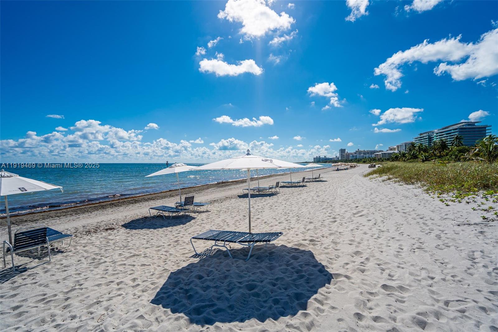 200 Ocean Ln Drive, Unit 407GR09 Key Biscayne, FL 33149 - Photo 41 of 56 a view of a backyard with a lake view