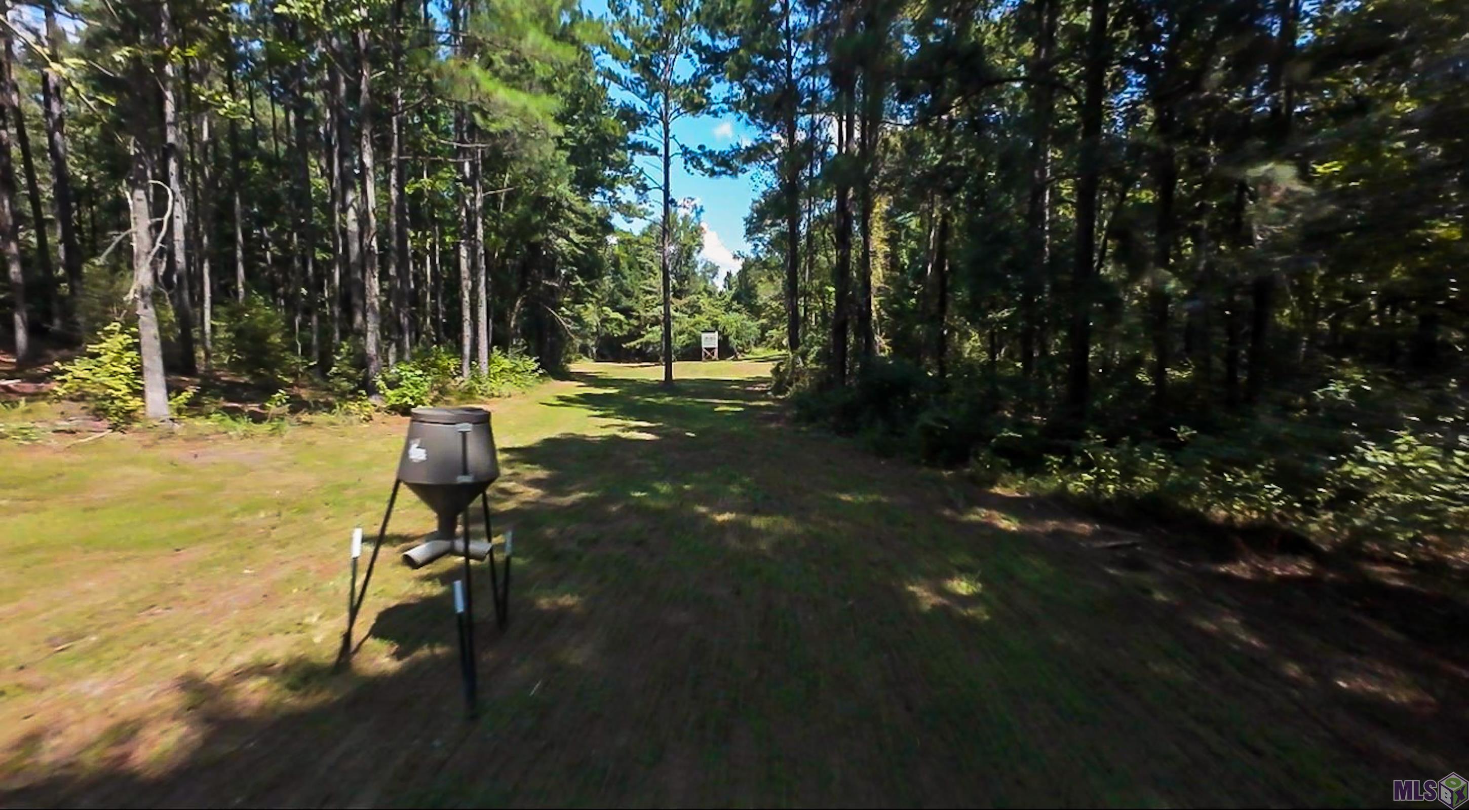 Tbd Jerusalem Road Liberty, MS 39645 - Photo 24 of 60 Gallery Image 24