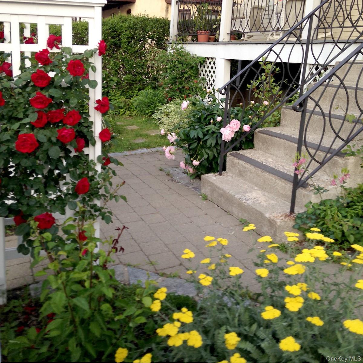 64 Maple Street Dobbs Ferry, NY 10522 - Photo 33 of 36 Front gardens