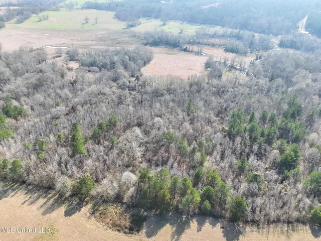 $560,000 | Xxx South Washington Street Northeast, Brookhaven, MS 39601