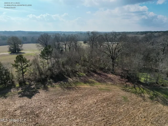 $560,000 | Xxx South Washington Street Northeast, Brookhaven, MS 39601