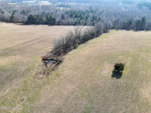 $560,000 | Xxx South Washington Street Northeast, Brookhaven, MS 39601