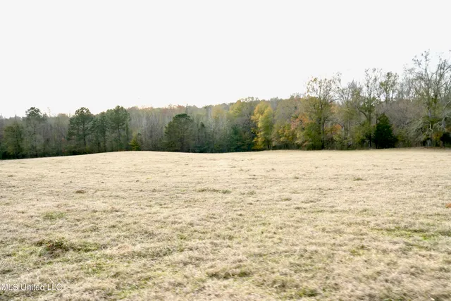 $560,000 | Xxx South Washington Street Northeast, Brookhaven, MS 39601