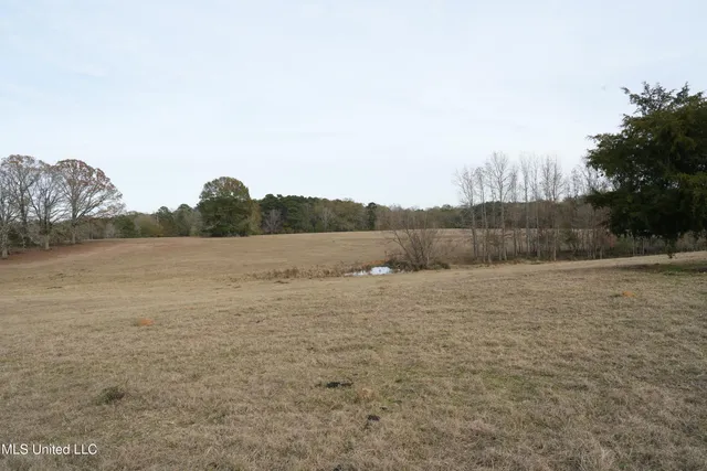 $560,000 | Xxx South Washington Street Northeast, Brookhaven, MS 39601