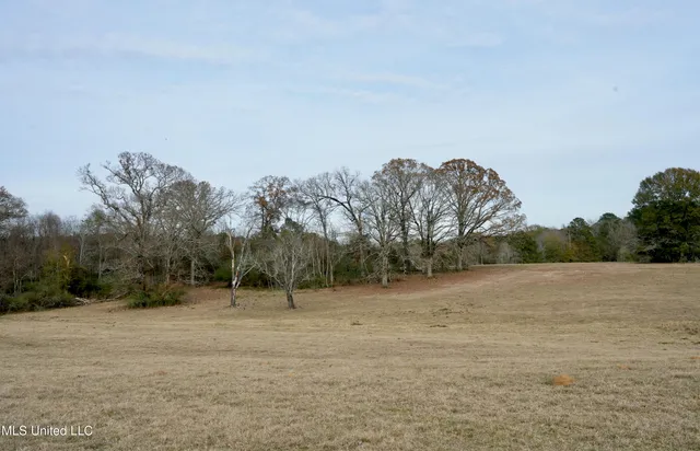 $560,000 | Xxx South Washington Street Northeast, Brookhaven, MS 39601