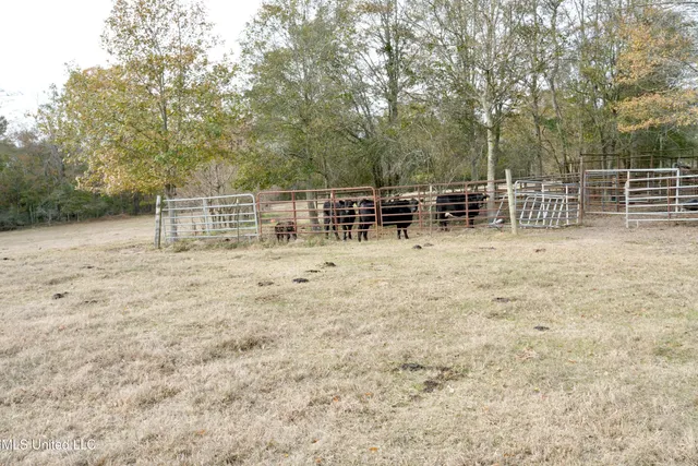 $560,000 | Xxx South Washington Street Northeast, Brookhaven, MS 39601