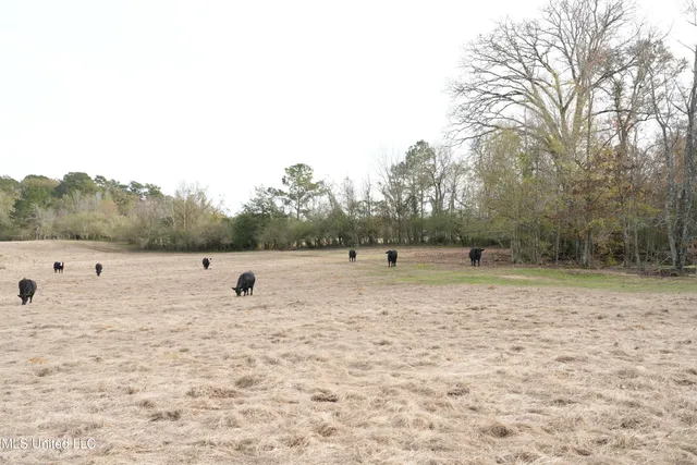 $560,000 | Xxx South Washington Street Northeast, Brookhaven, MS 39601