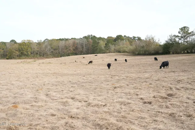 $560,000 | Xxx South Washington Street Northeast, Brookhaven, MS 39601