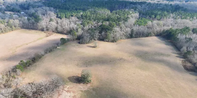 $560,000 | Xxx South Washington Street Northeast, Brookhaven, MS 39601