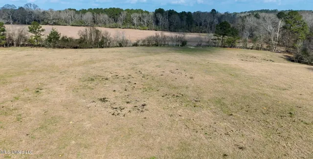 $560,000 | Xxx South Washington Street Northeast, Brookhaven, MS 39601