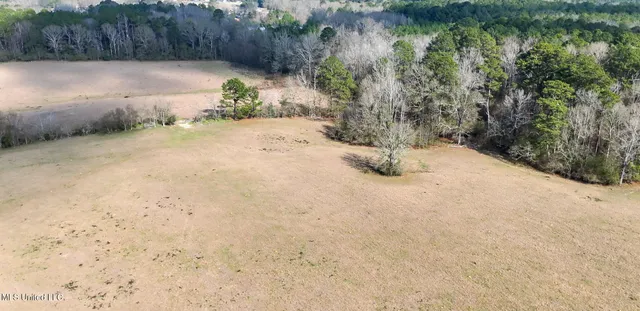 $560,000 | Xxx South Washington Street Northeast, Brookhaven, MS 39601