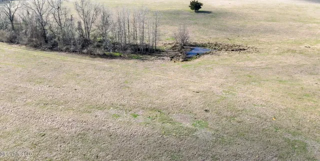 $560,000 | Xxx South Washington Street Northeast, Brookhaven, MS 39601