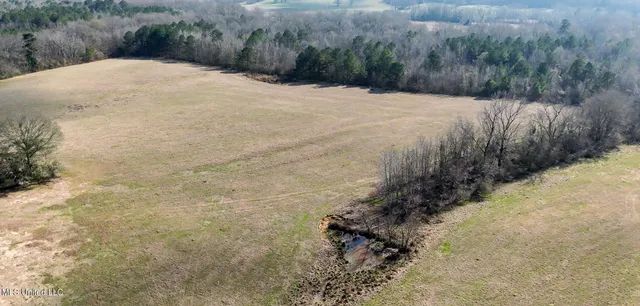 $560,000 | Xxx South Washington Street Northeast, Brookhaven, MS 39601