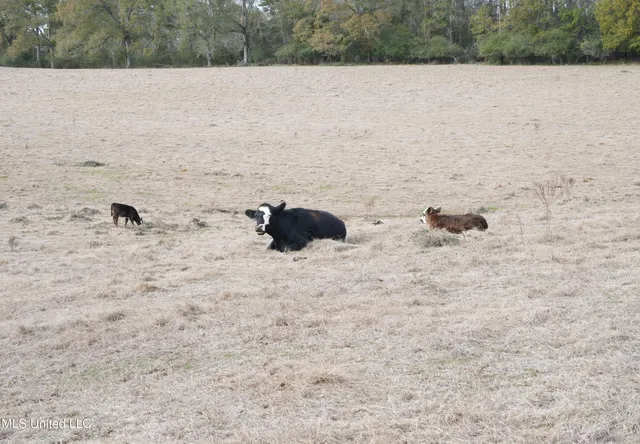 $560,000 | Xxx South Washington Street Northeast, Brookhaven, MS 39601