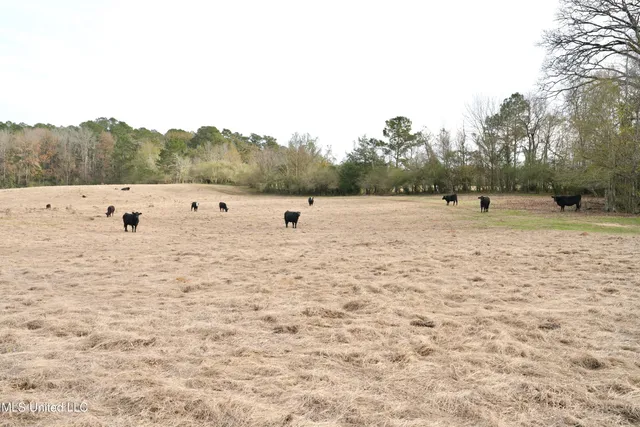 $560,000 | Xxx South Washington Street Northeast, Brookhaven, MS 39601