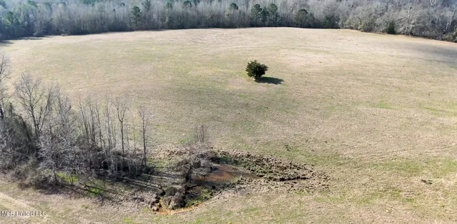 $560,000 | Xxx South Washington Street Northeast, Brookhaven, MS 39601