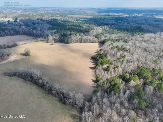 $560,000 | Xxx South Washington Street Northeast, Brookhaven, MS 39601