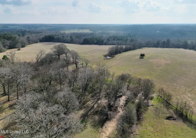 $560,000 | Xxx South Washington Street Northeast, Brookhaven, MS 39601