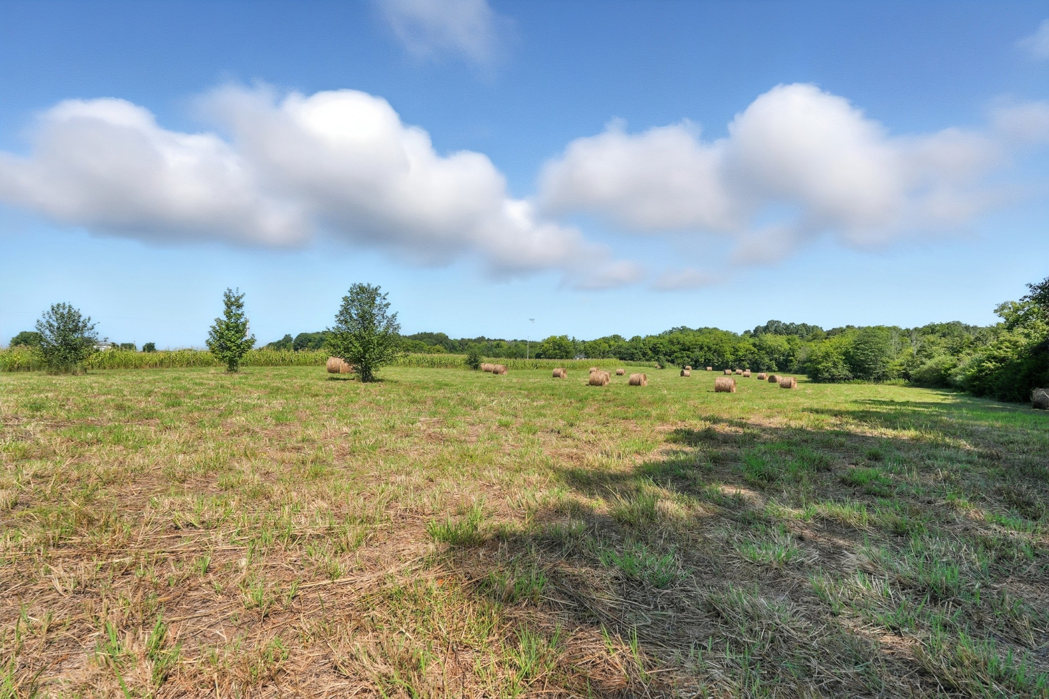 790 Squire Hall Road Bell Buckle, TN 37020 - Photo 11 of 42 a view of ocean