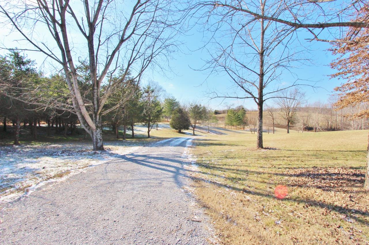 6830 Beasleys Bend Road Lebanon, TN 37087 - Photo 25 of 30 a view of yard with trees