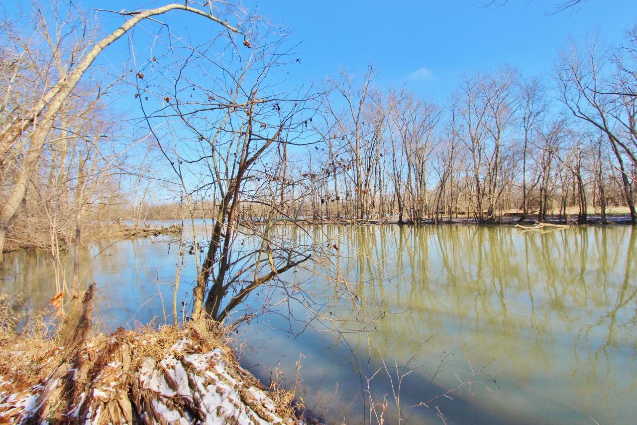 6830 Beasleys Bend Road Lebanon, TN 37087 - Photo 27 of 30 a view of lake