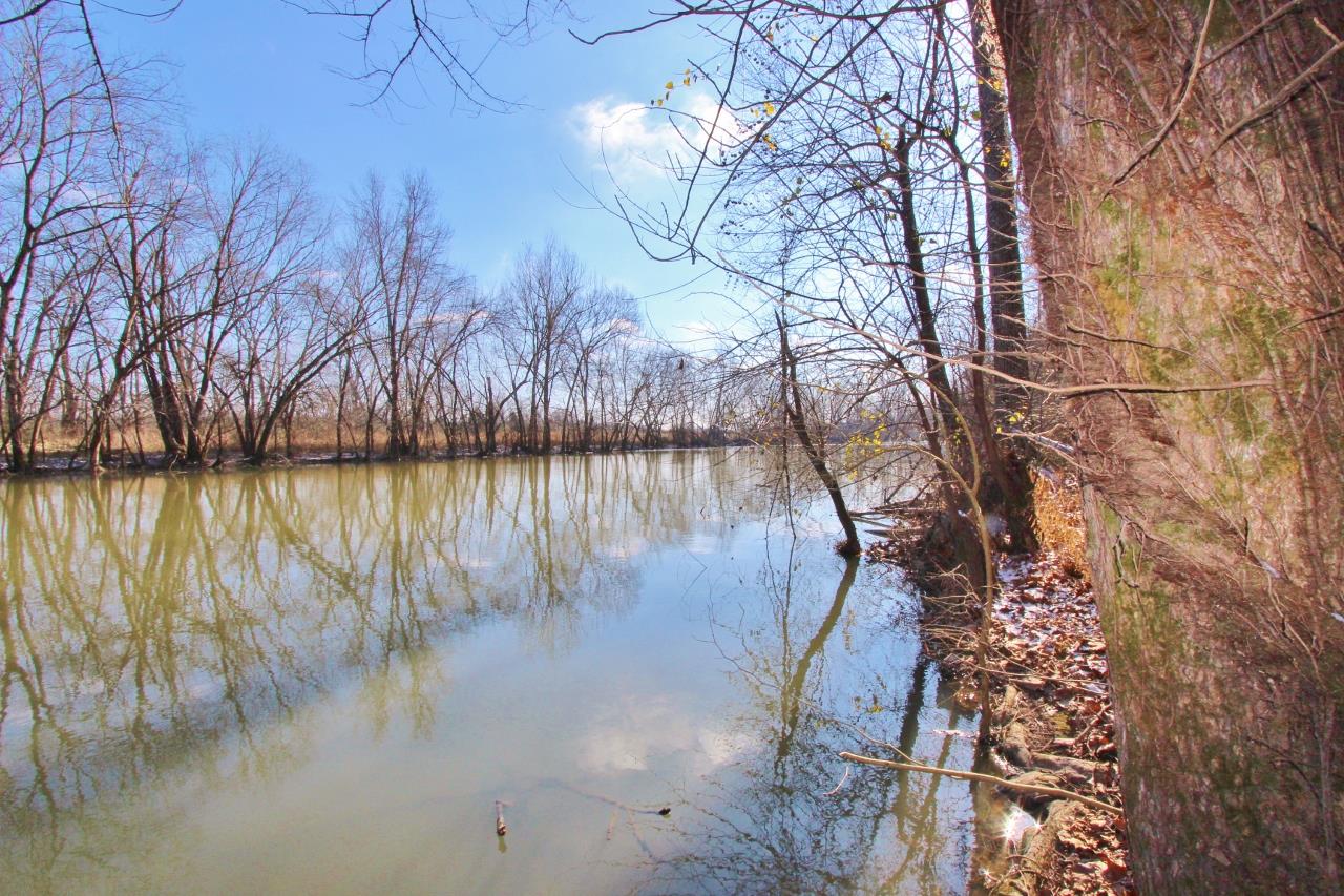 6830 Beasleys Bend Road Lebanon, TN 37087 - Photo 29 of 30 a backyard of a house with lots of green space and lake view