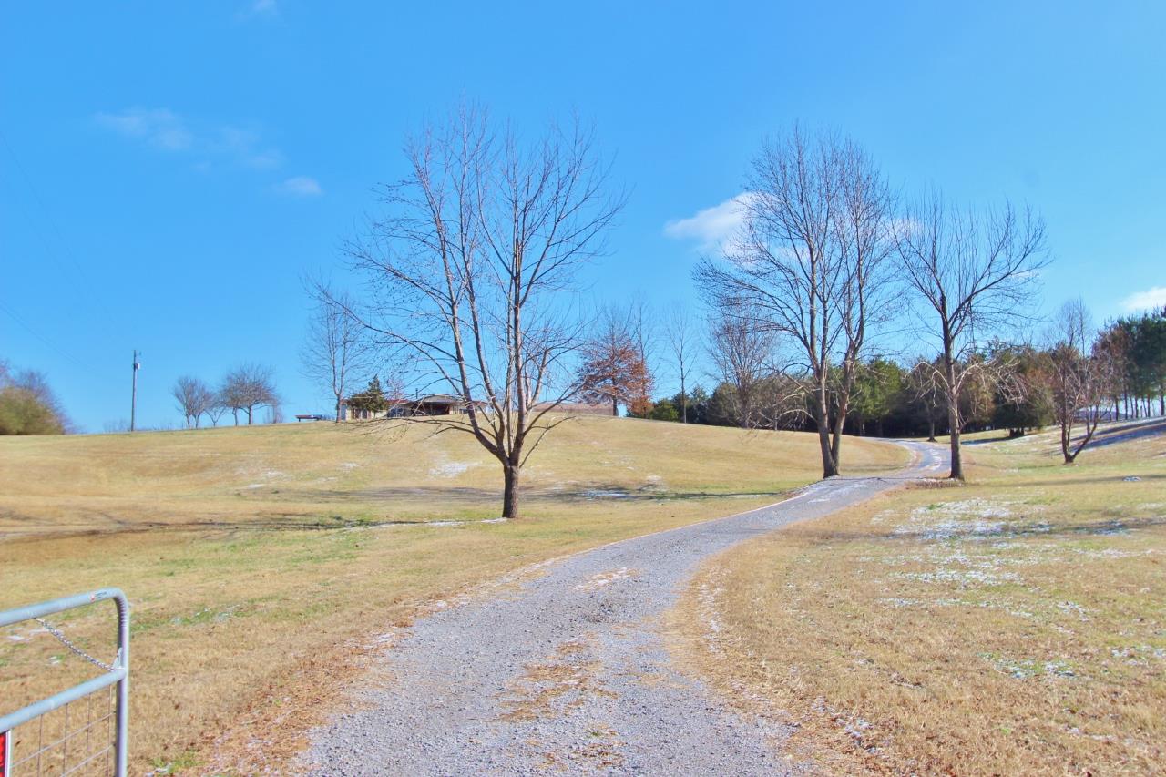 6830 Beasleys Bend Road Lebanon, TN 37087 - Photo 5 of 30 a view of empty space with trees