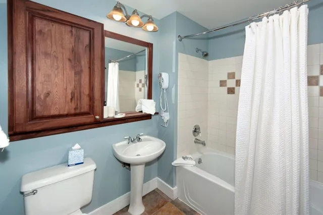 a bathroom with a sink toilet a shower and a mirror