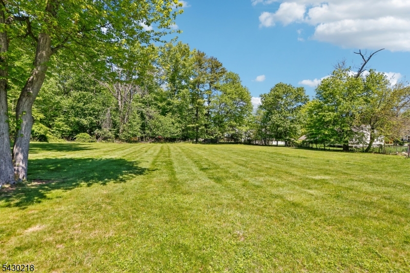 718 New Dover Road Edison, NJ 08820 - Photo 19 of 22 a view of yard with green space