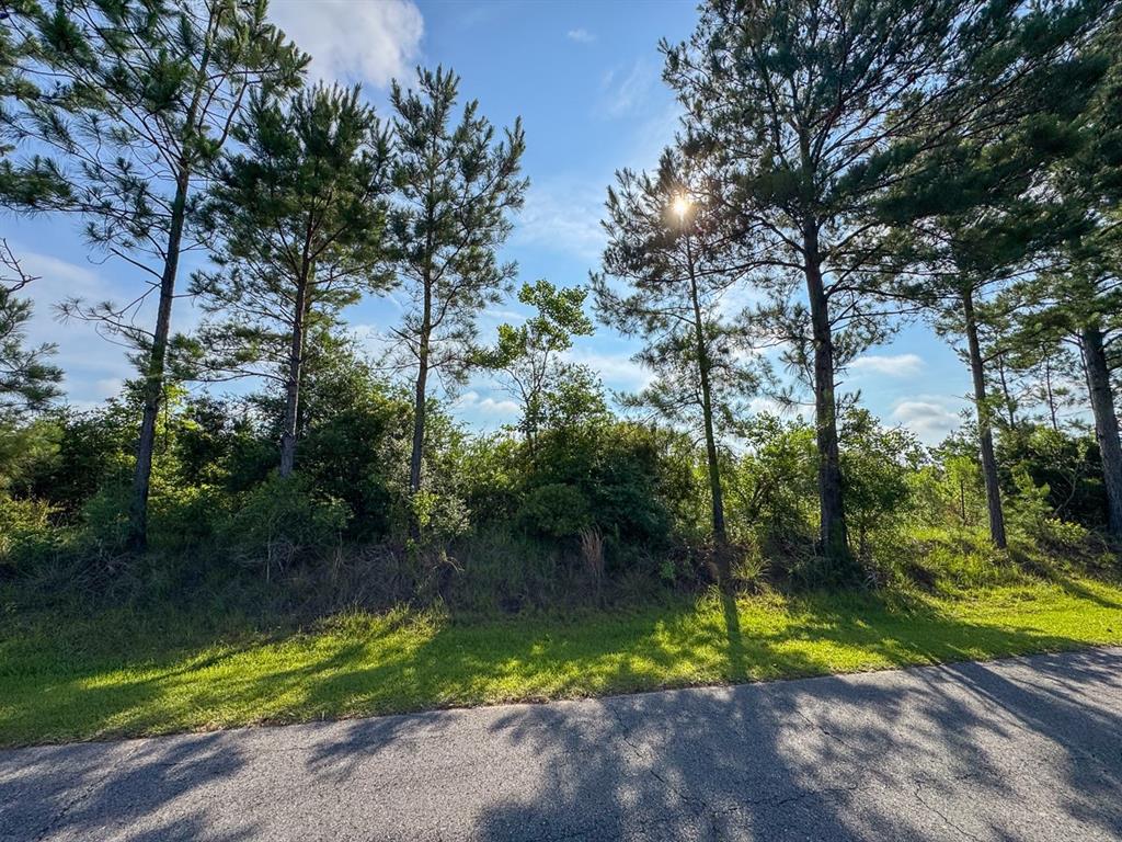 T-1 Ellis West Road Pitkin, LA 70656 - Photo 9 of 18
