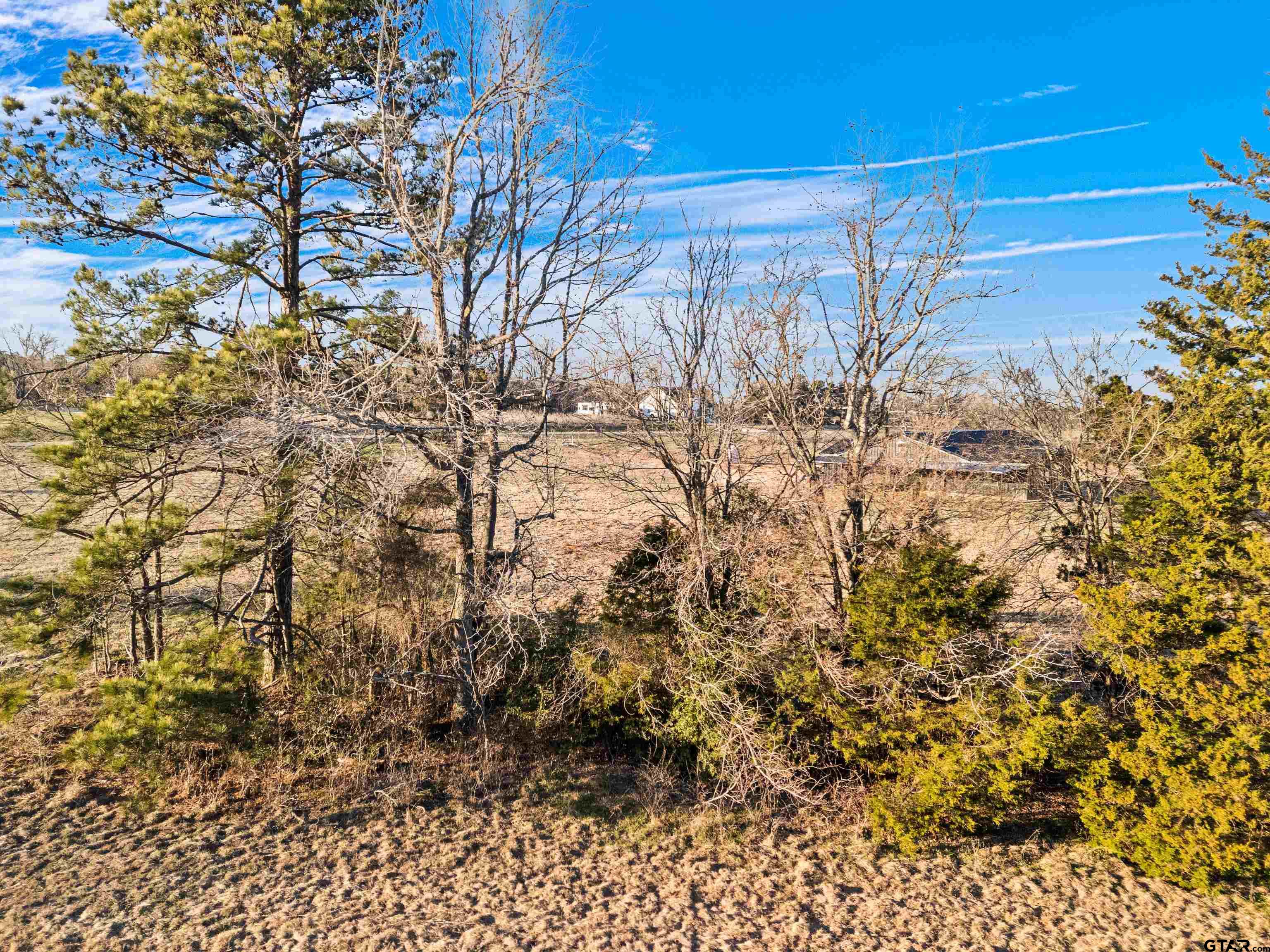 Lot 1 Ridgeway Court Winona, TX 75792 - Photo 5 of 19