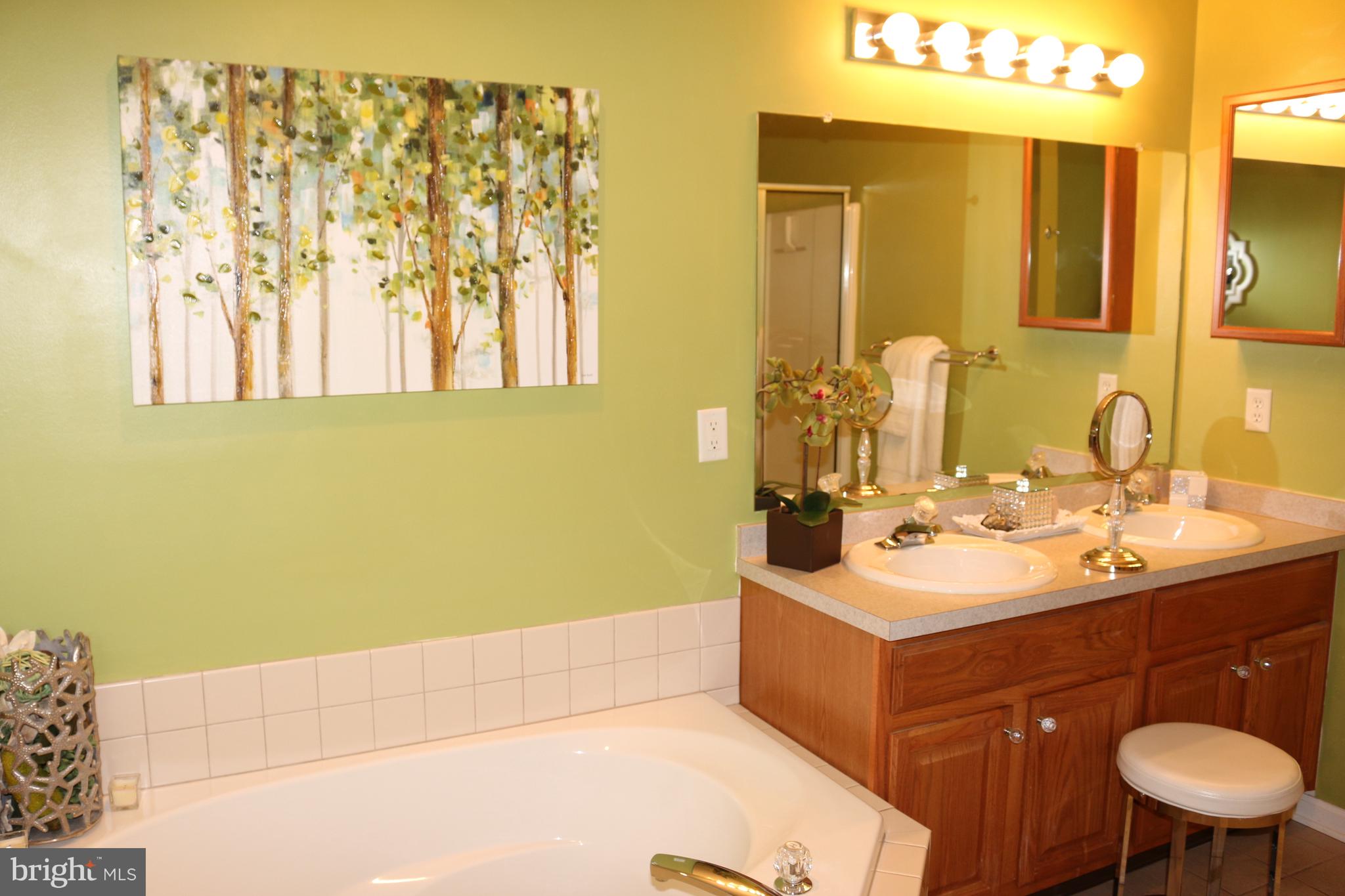 112 Mandalay Drive Bear, DE 19701 - Photo 14 of 22 Four Piece Luxury Master Bath w/ Jetted Garden Tub