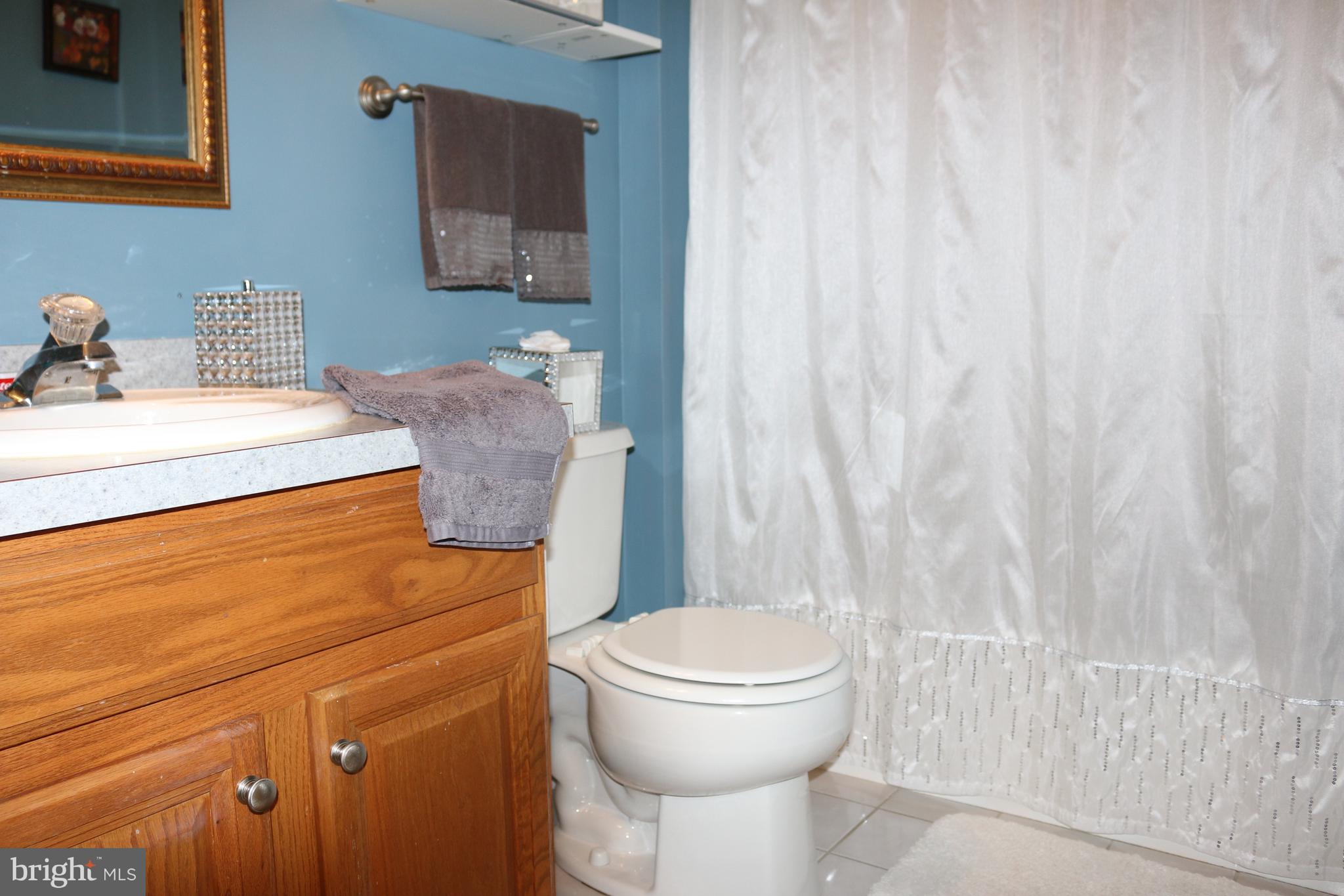 112 Mandalay Drive Bear, DE 19701 - Photo 16 of 22 Hallway Bath w/ Tile Floors