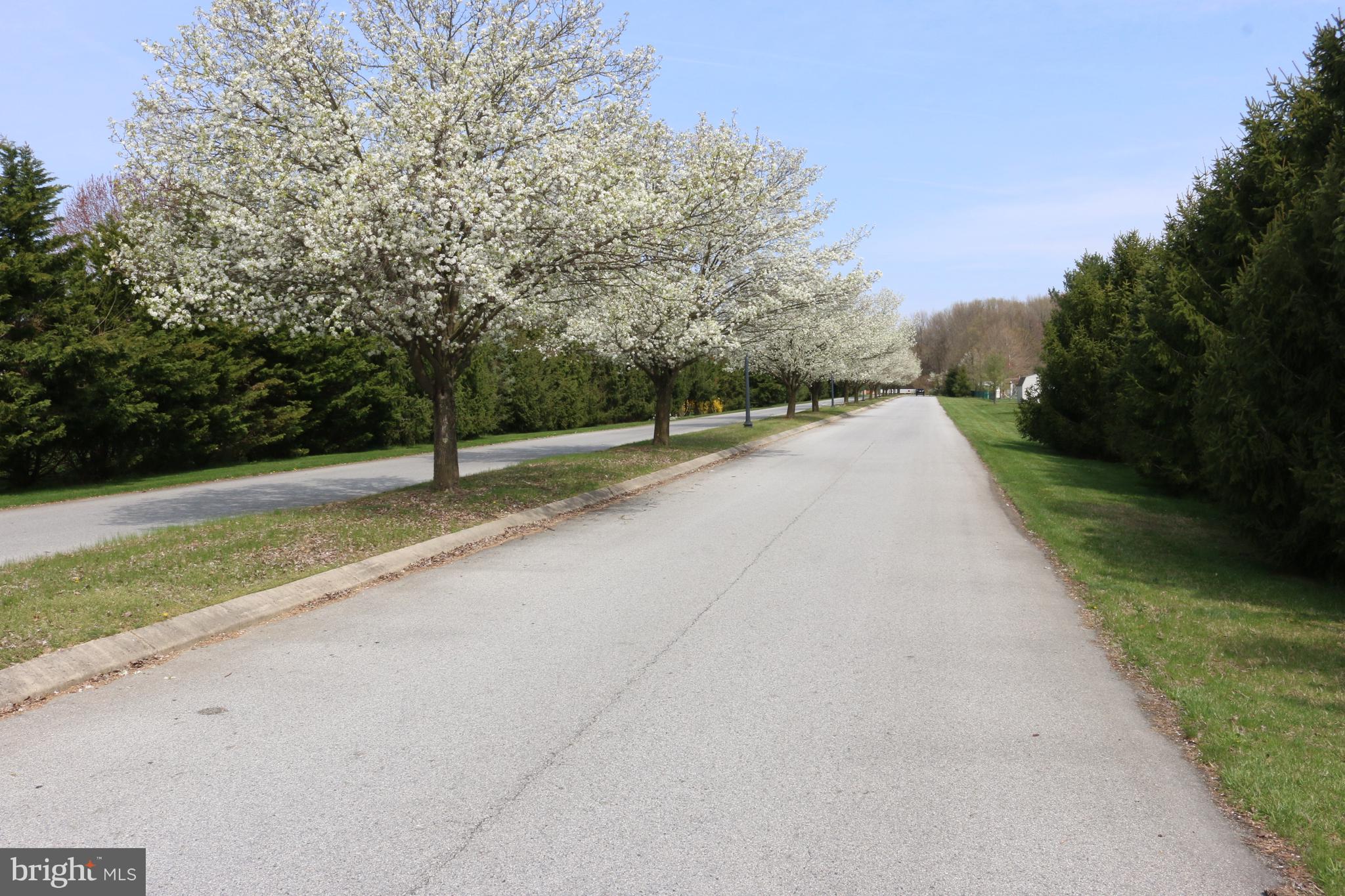 112 Mandalay Drive Bear, DE 19701 - Photo 21 of 22 Highly Sought After Appoquinimink School District