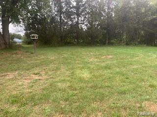 11355 Carr Road Davison, MI 48423 - Photo 16 of 20 IMG_1796.jpg
