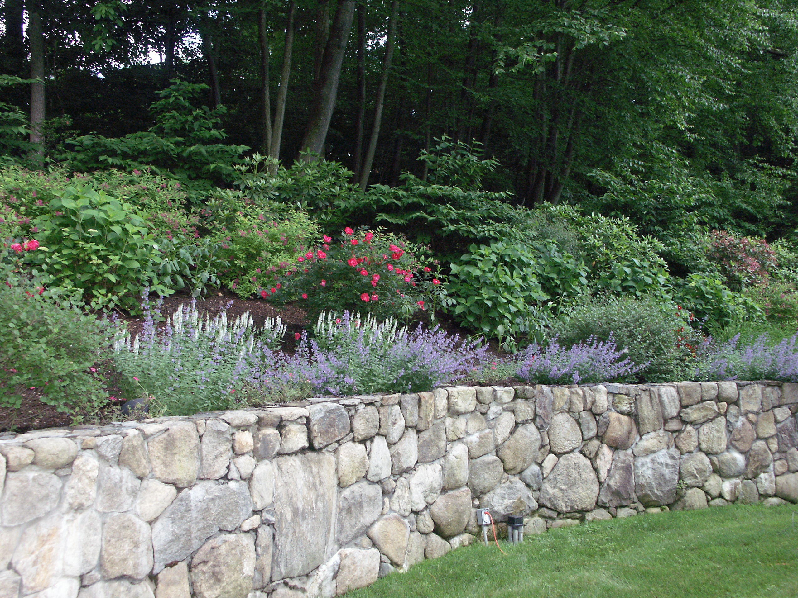 104 Logan Road New Canaan, CT 06840 - Photo 28 of 34 a backyard of a house with lots of green space