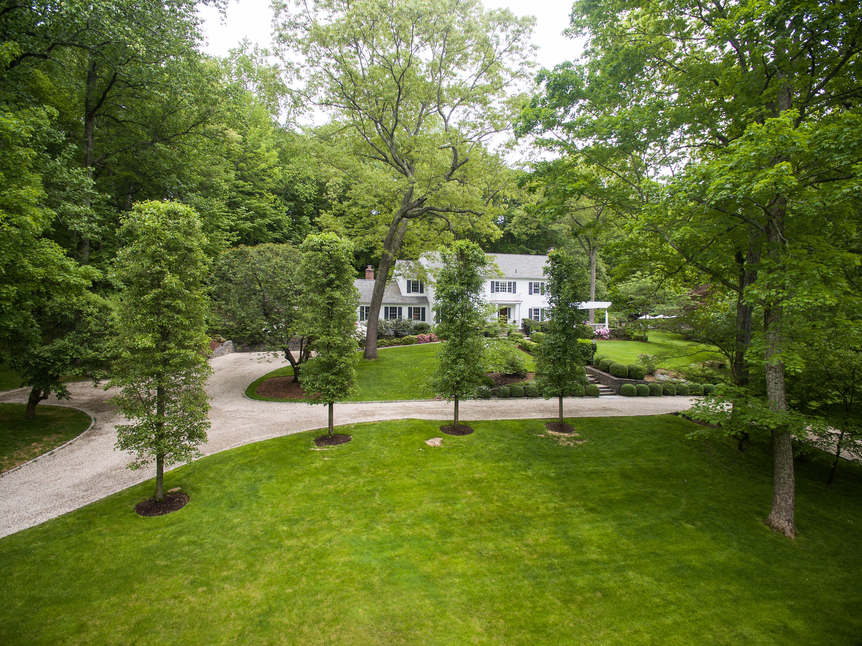 104 Logan Road New Canaan, CT 06840 - Photo 32 of 34 a view of park with large trees