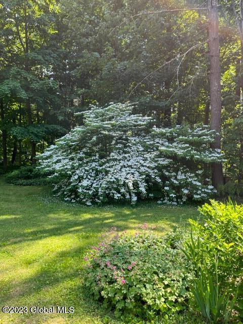 8 Pine Lane Cambridge, NY 12816 - Photo 19 of 34 IMG_0267