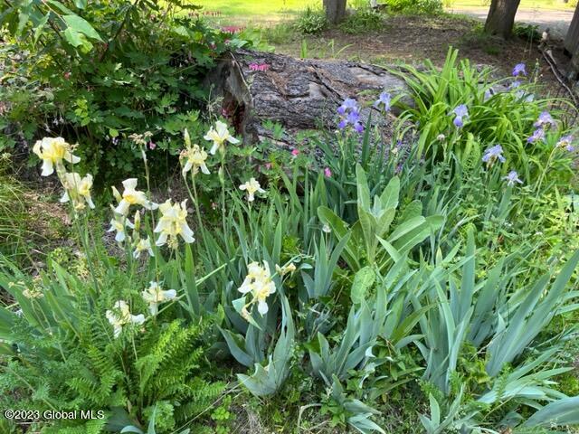 8 Pine Lane Cambridge, NY 12816 - Photo 20 of 34 IMG_0281