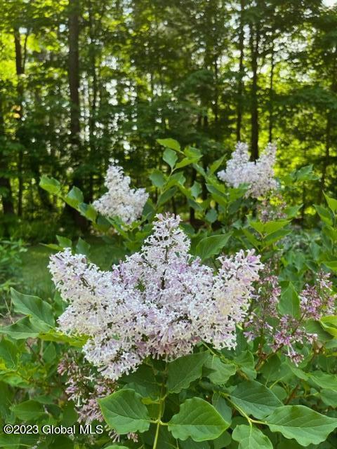 8 Pine Lane Cambridge, NY 12816 - Photo 21 of 34 IMG_0285