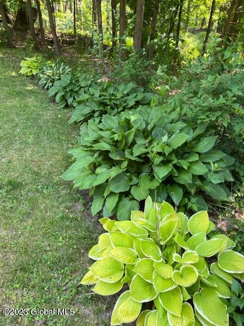 8 Pine Lane Cambridge, NY 12816 - Photo 22 of 34 IMG_0287