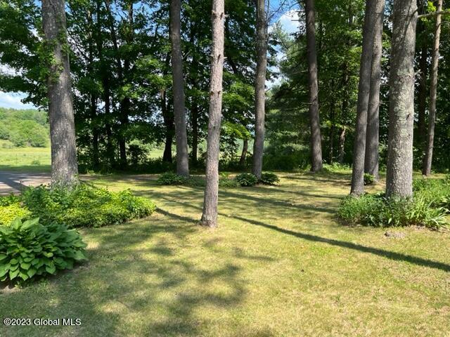 8 Pine Lane Cambridge, NY 12816 - Photo 4 of 34 IMG_0249