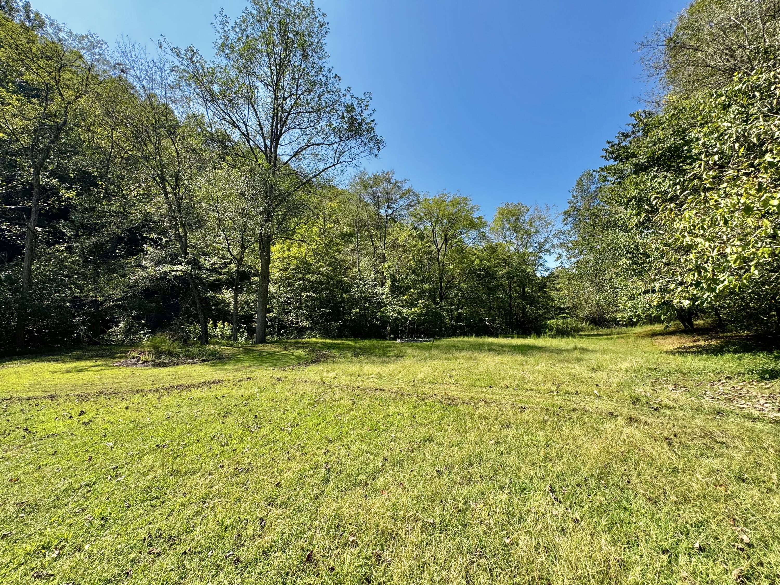 690 Ansel Road Science Hill, KY 42553 - Photo 66 of 78 IMG_0497