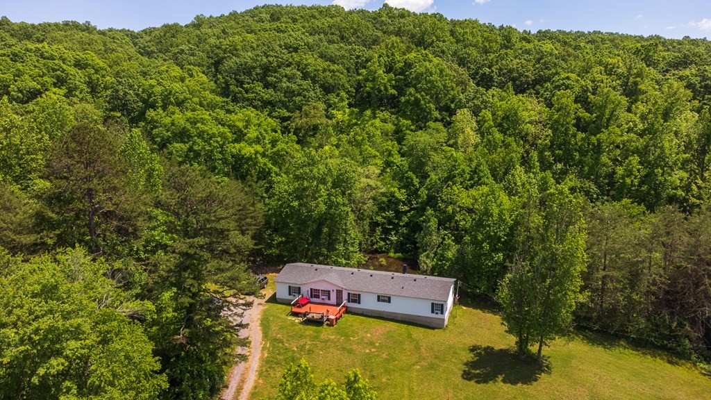 197 County Road 179 Decatur, TN 37322 - Photo 36 of 39