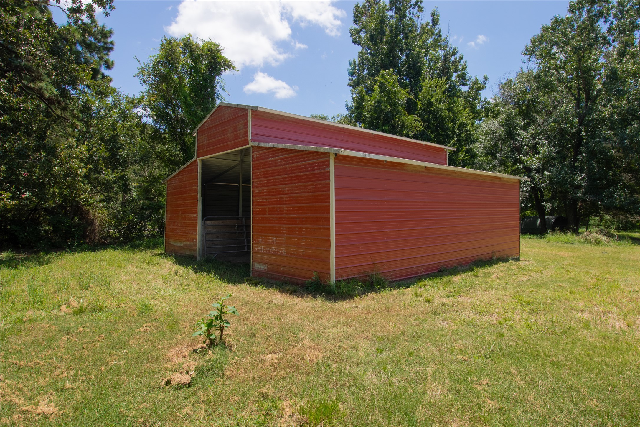 14687 Austin Mccomb Road Montgomery, TX 77316 - Photo 32 of 39 Gallery Image 32