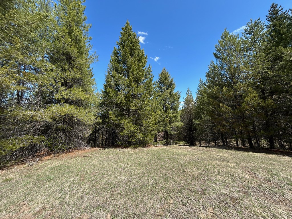 Lot 40 Challis Lane, Unit 40 Cascade, ID 83611 - Photo 12 of 23